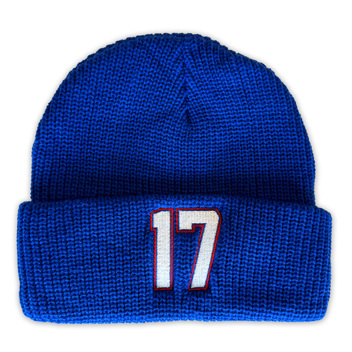 17 Embroidered Knit Winter Hat - Royal Blue