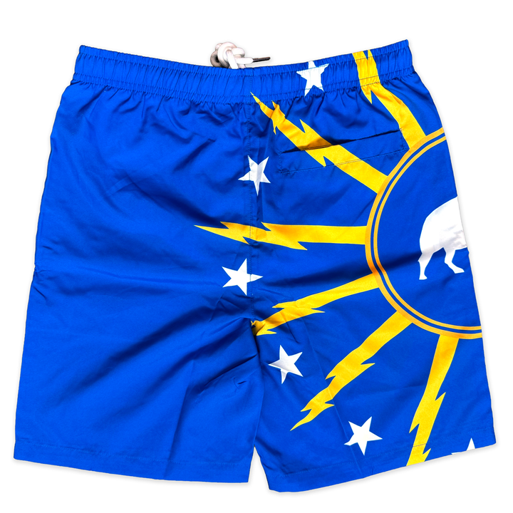 Buffalo Bolt Men's Swim Trunks