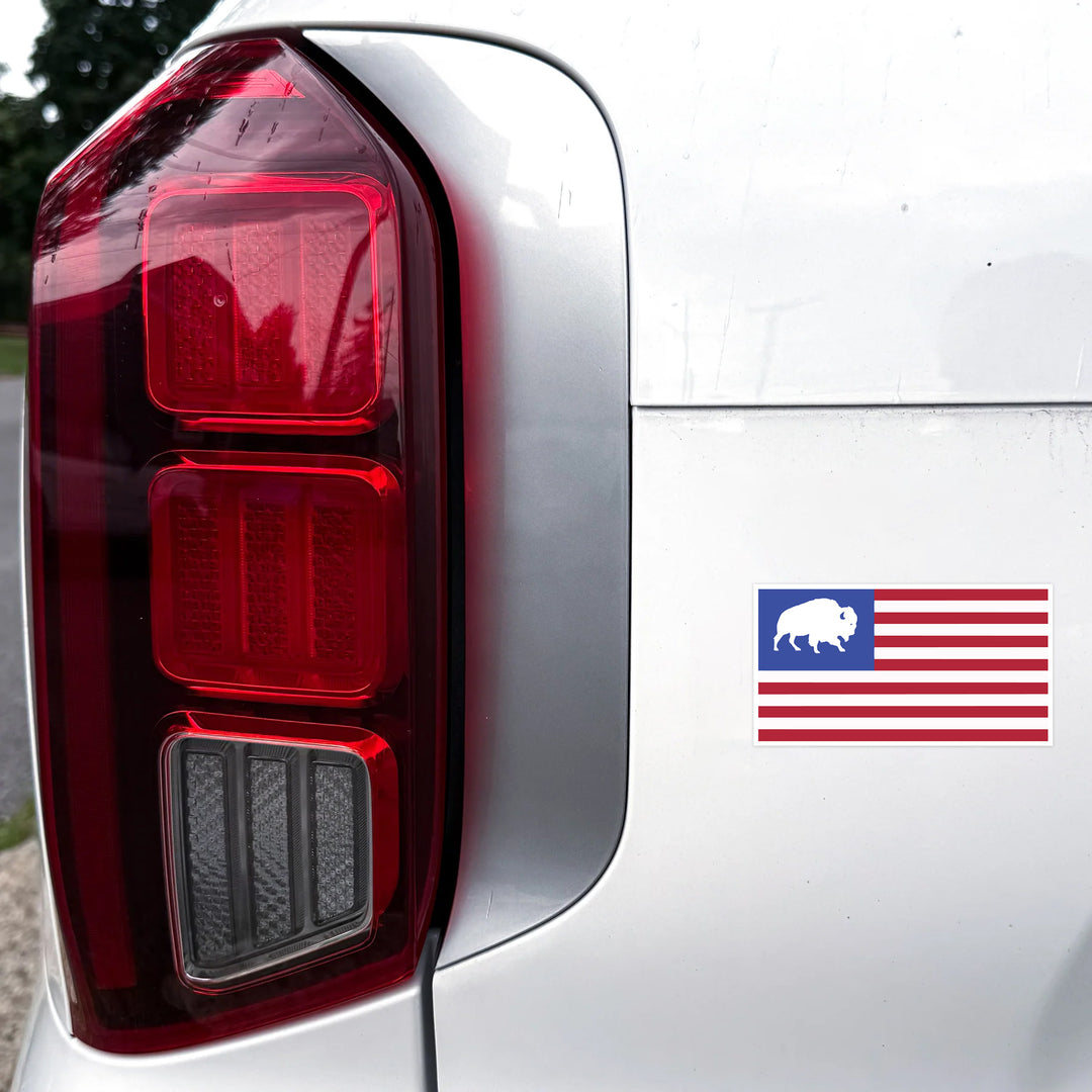Buffalo USA Flag - Magnet