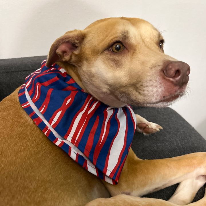 Mafia Stripes Pet Bandana