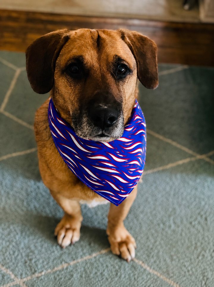 Mafia Stripes Pet Bandana