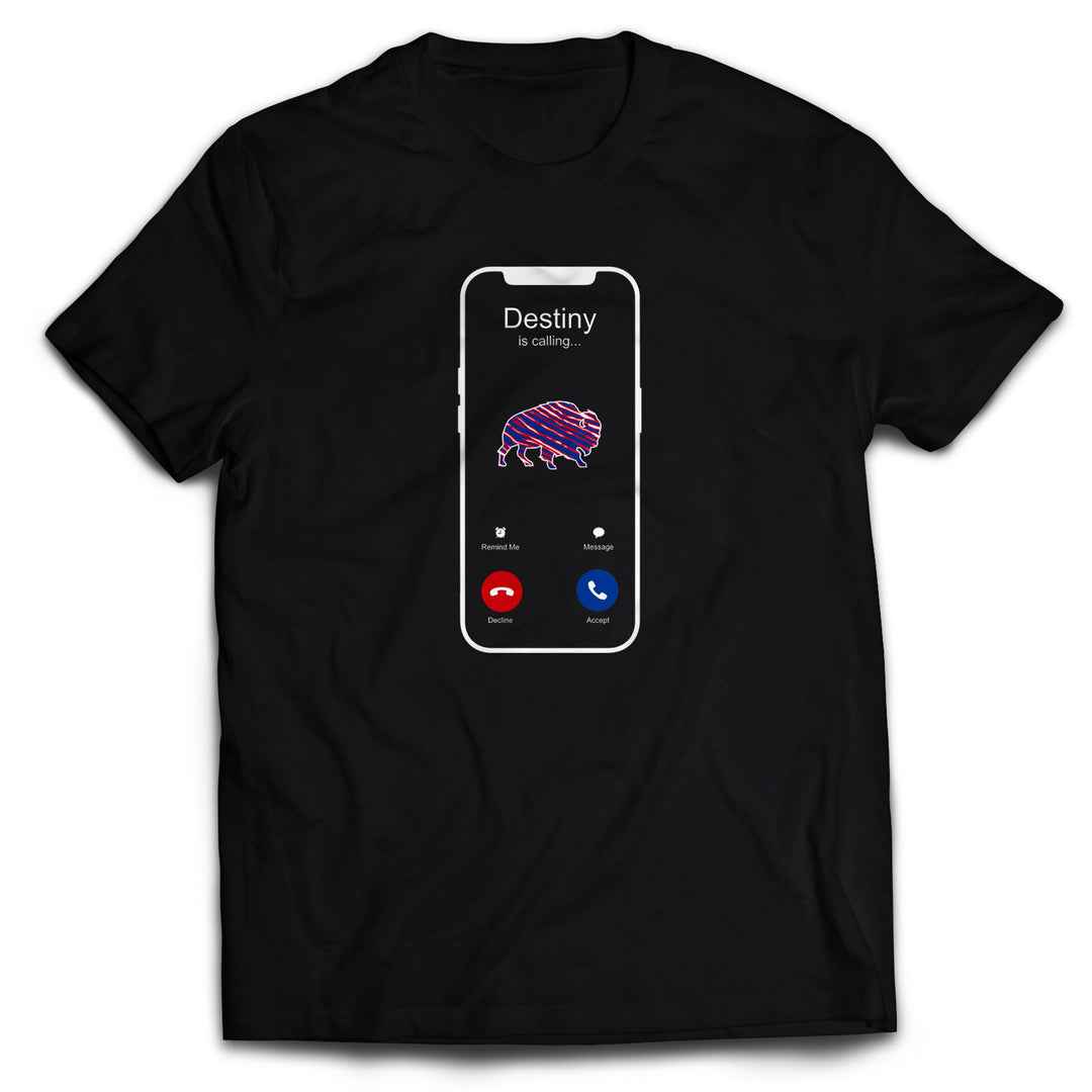 Destiny is Calling