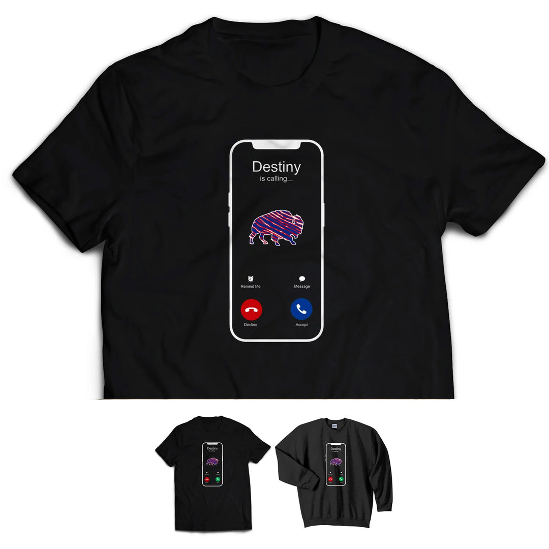 Destiny is Calling